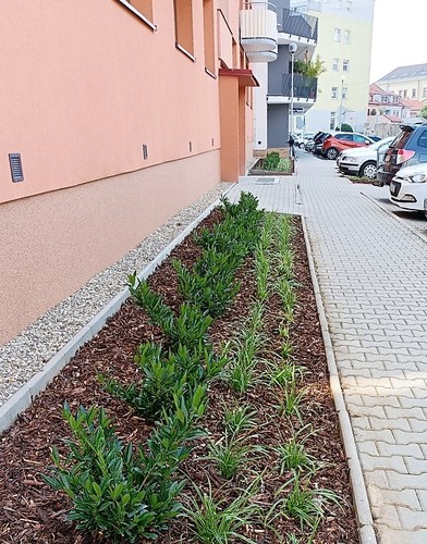 Úpravy parčíku v Sadech jsou hotové
