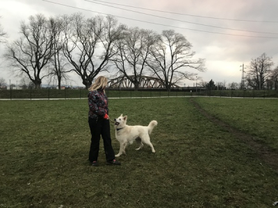 Oplocené psí hřiště Mojmír