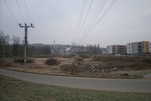 Revitalizace sídelní zeleně města (II)