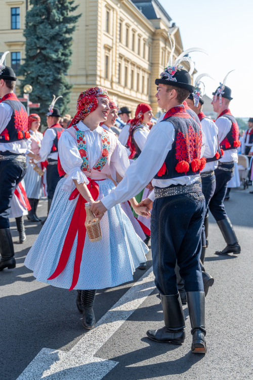 Slovácké slavnosti vína a otevřených památek.jpg