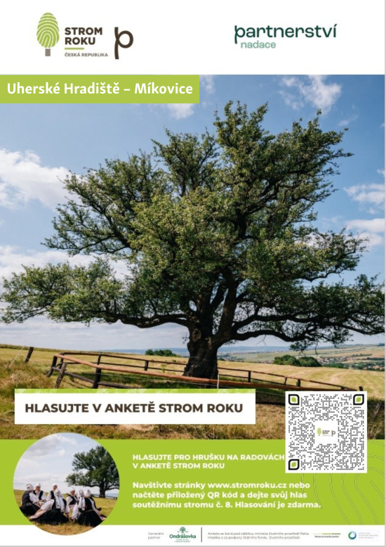 Hlasování pro Strom roku 2025