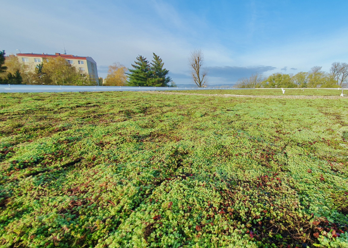 zelené střechy ZŠ ZA Alejí.jpeg