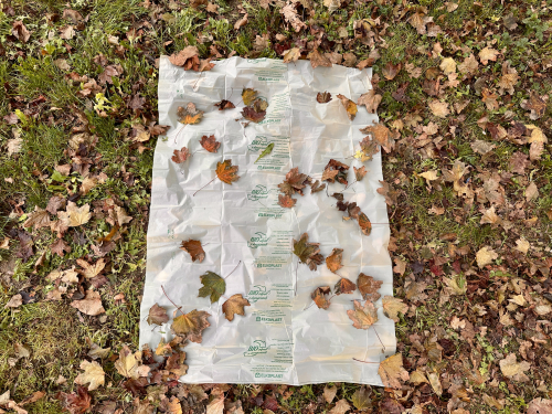 Novinka: Město nabízí biologicky rozložitelné a kompostovatelné sáčky na bioodpad