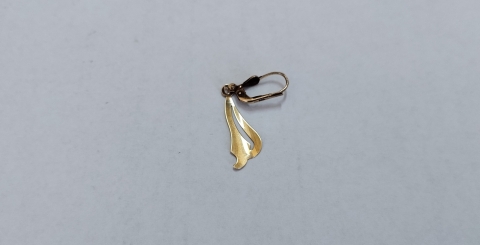 Náušnice ze žlutého kovu / Ztráty a nálezy