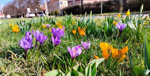 Přivítejte jaro spolu s námi