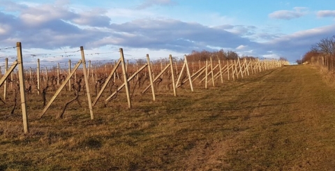  Regulační plán RP3 Uherské Hradiště - Prostřední Hora (účinný od 25.04.2025)