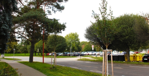 Výsadby mladých stromů,, Stará Tenice