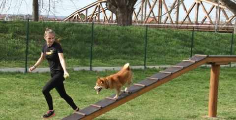 Psí hřiště v Revoluční ulici