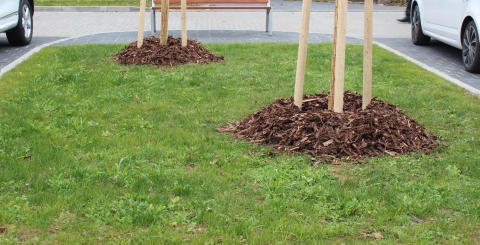 Nová tvář části ulice Okružní 