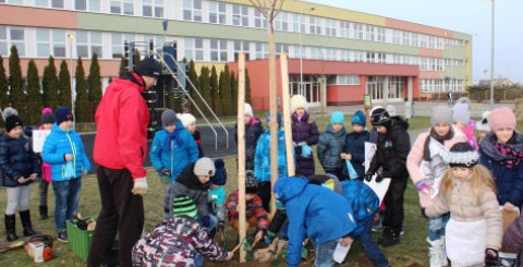 Strom pro naši budoucnost