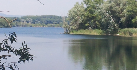 Vodní zdroj Ostrožská Nová Ves