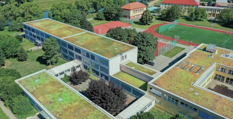 Zelené střechy ZŠ Za Alejí.jpeg