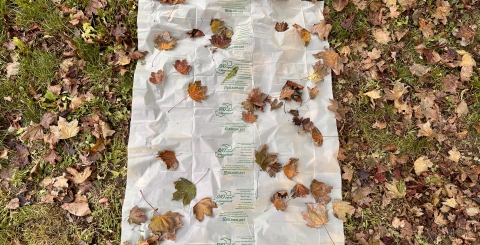 Novinka: Město nabízí biologicky rozložitelné a kompostovatelné sáčky na bioodpad