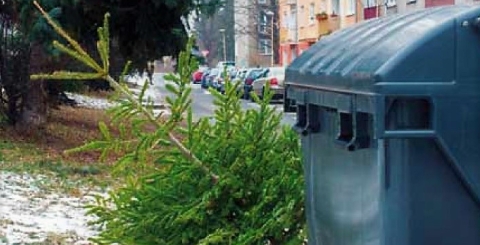 Svoz vánočních stromků