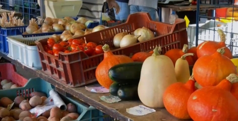 Město snížilo nájem za tržnici, tím klesla i cena za nájem prodejních míst