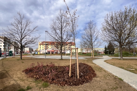 Sadová