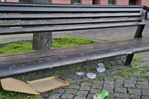 Vandalismus, znečišťování veřejných prostranství