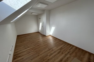 Park a skanzen Rochus