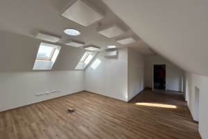 Park a skanzen Rochus