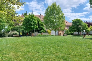 Údržba zelených ploch