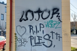 Vandalismus, znečišťování veřejných prostranství